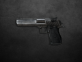 Valve's Desert Eagle