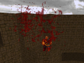 Conservative Brutal Doom v1.1