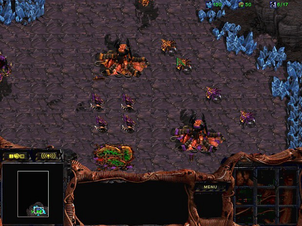 The Complete Zerg Campaign Co-op Beta