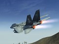 F-14 Tomcat (AIX)