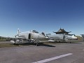 F-4D and FGR.2 (AIX)