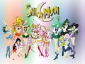 Sailor Moon and Scouts skin pack