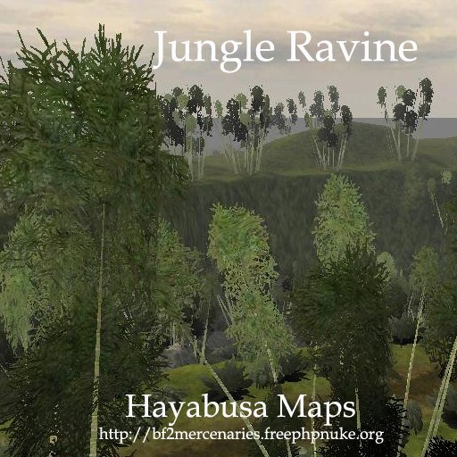 Jungle Ravine