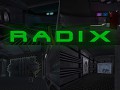 Radix - Steam Version