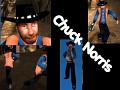 Chuck Norris Model