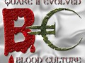 Quake 2 Evolved Blood Culture