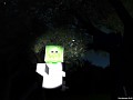 Lost In The FOREST v0.3 Demo