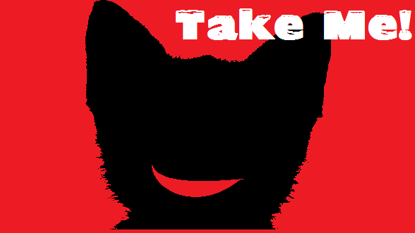 Take The Cat