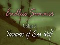 Endless Summer. Update 3. Treasures of Sea Wolf