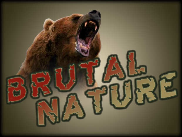 Brutal Nature Server 0.30