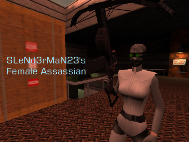 SLeNd3rMaN23's Female Assassian