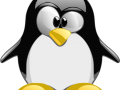 Darkness 1.2 Linux Tarball