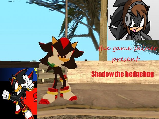 shadow from shadow the hedgehog