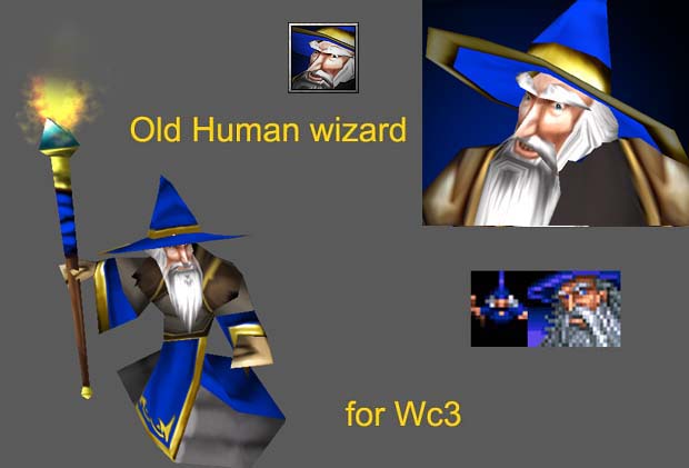 Human Wizard