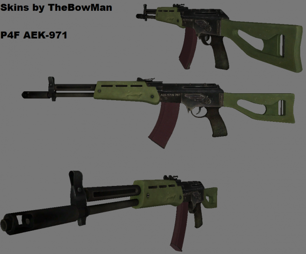 P4F AEK-971 weapon and reskin