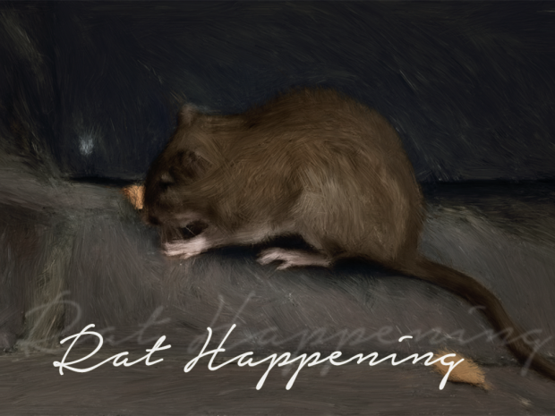 Rat Happening (Mac )