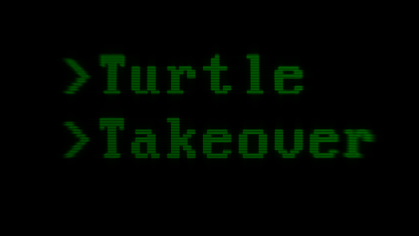 TURTLE TAKEOVER Release version