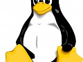 Linux Half-Life Dedicated Server v3.1.1.1