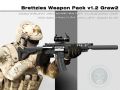 Brettzies Weapon Pack v1.2 GRAW2