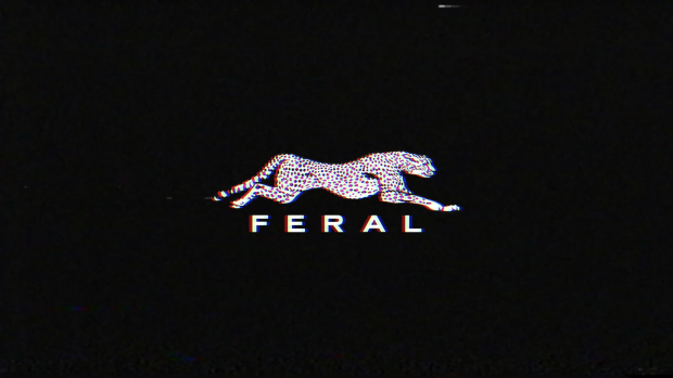 Updated Feral Ident