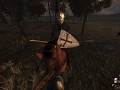 Realism ENB shaders for Ivanhoe mods