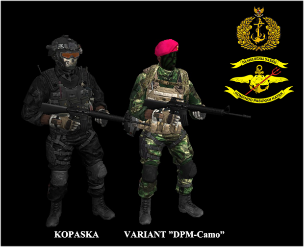 Indonesian NAVY(TNI-AL) elite force skin