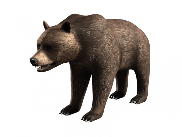 Bear from New Shooting Simulator