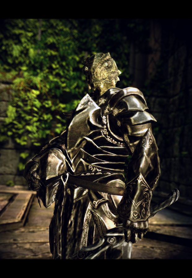 Argonian knight at your service!