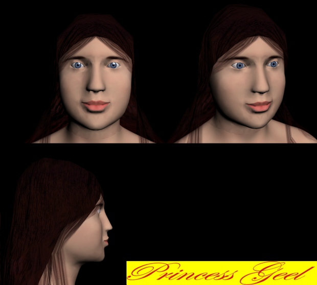 Princess Geel (Progress Update 5) -face-