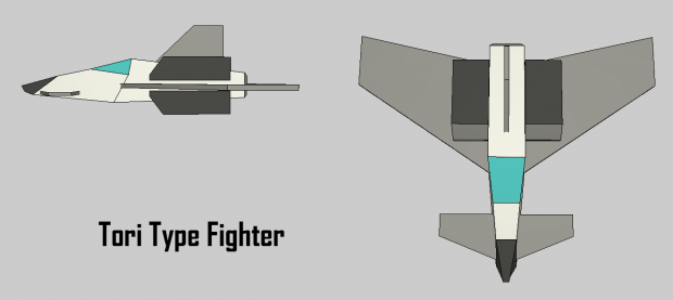 Tori Type Fighter