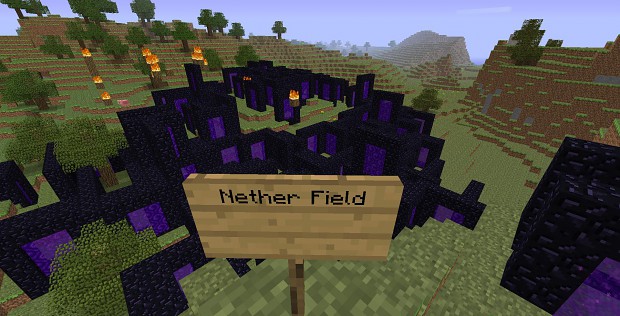 Nether Field
