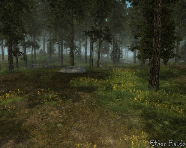 More realistic forest