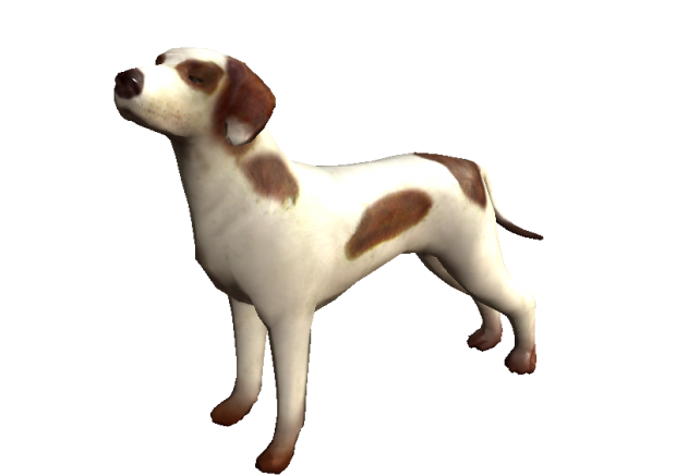 3d Dog model