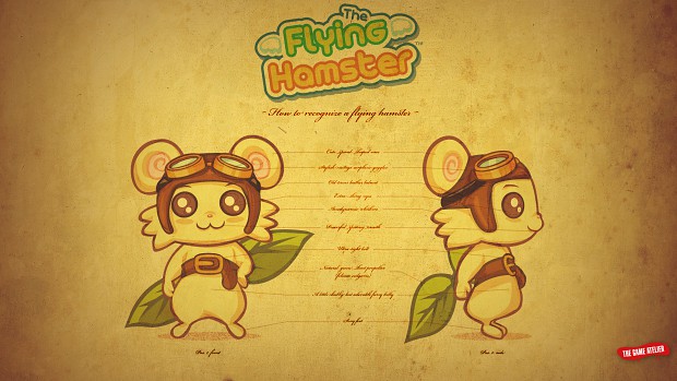 How to recognize a flying hamster 16:9