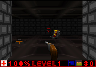 first in-game screenshot