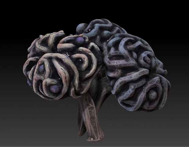 Brain Fungus
