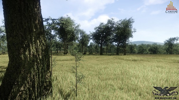 An update to the grass of WoR