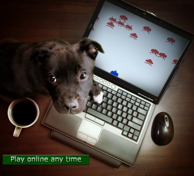 Play online any time