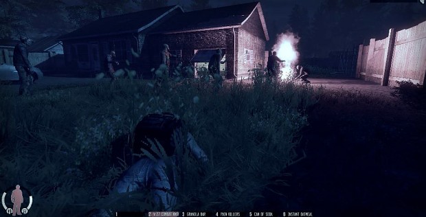 The War Z Screenshots