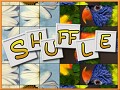 The Shuffle Puzzle