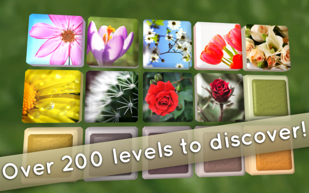 Over 200 levels to discover!