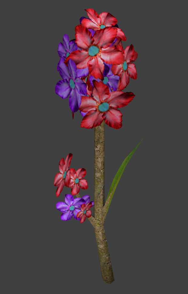 Diversus Colur Flower Model