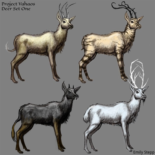 Deer Concepts