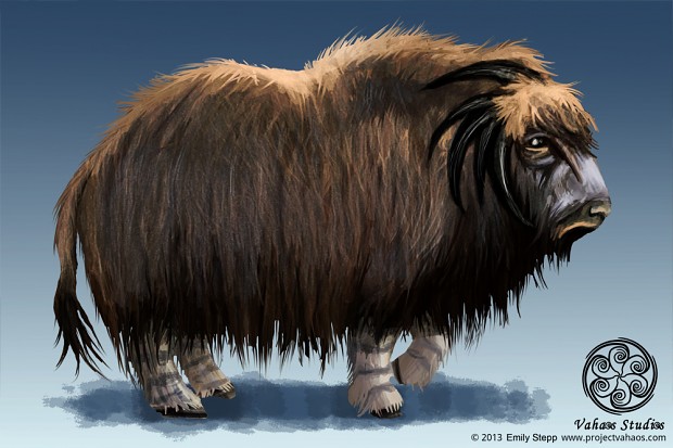 Woolly Ox Concept