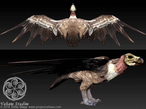Skull Vulture Model