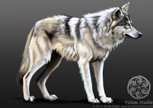Gray Wolf Concept
