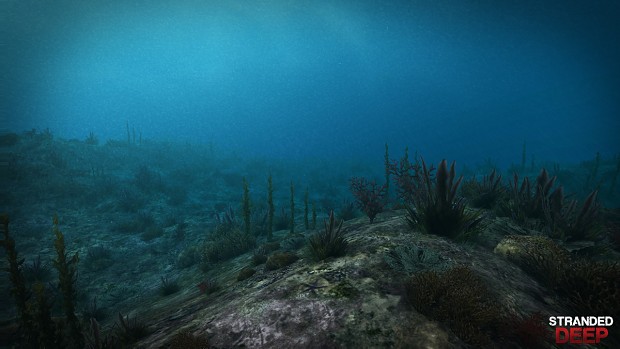 Stranded Deep Reef Biome