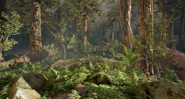 Forest (UE4)