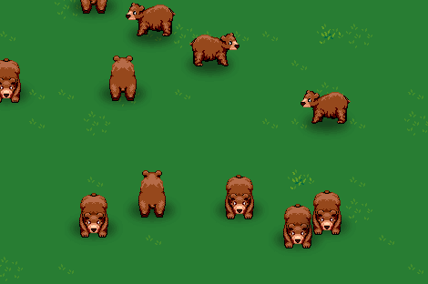 Bears!