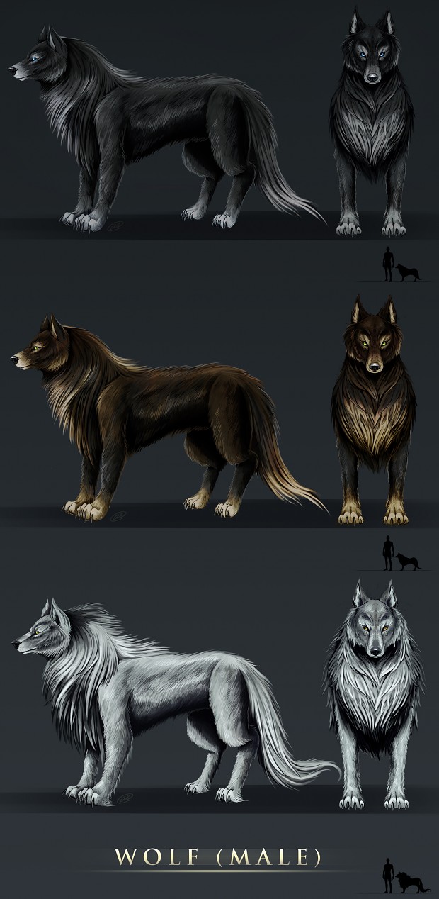 Wolf Males